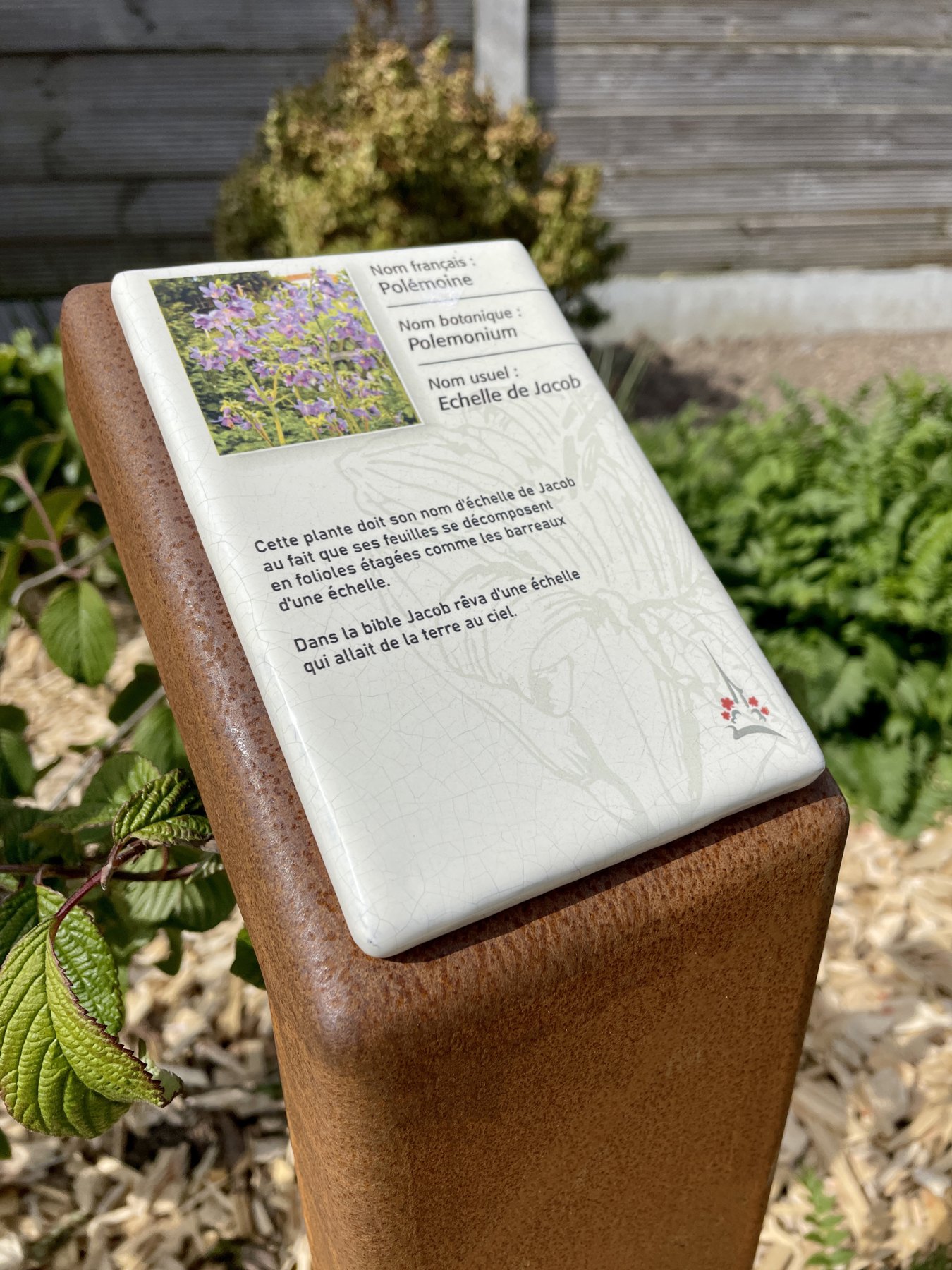 Détail d’un petit panneau botanique en lave émaillée sur un support métallique.