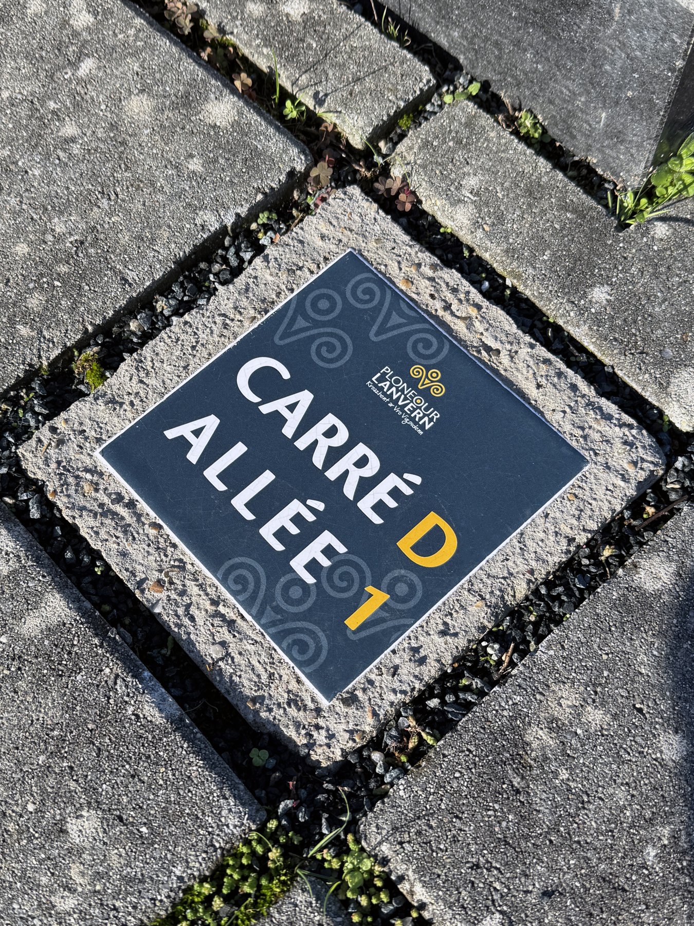 Plaque au sol indiquant Carré D Allée 1 dans un cimetière.